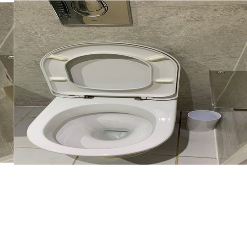 Sparkling clean toilet after deep clean