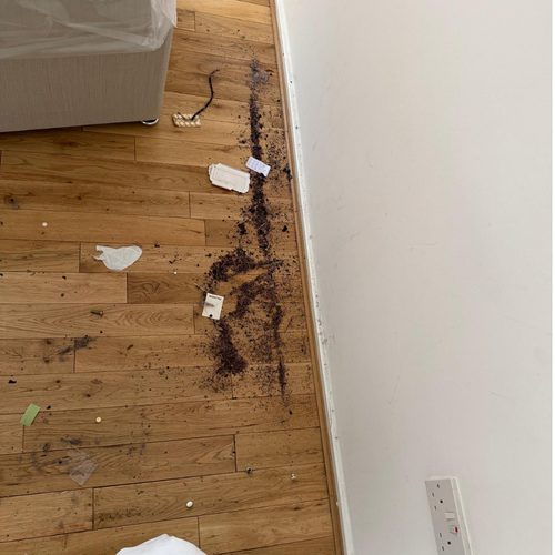 Stained wood floor in bedroom