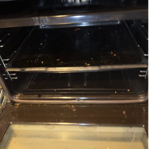 Greasy oven before deep clean