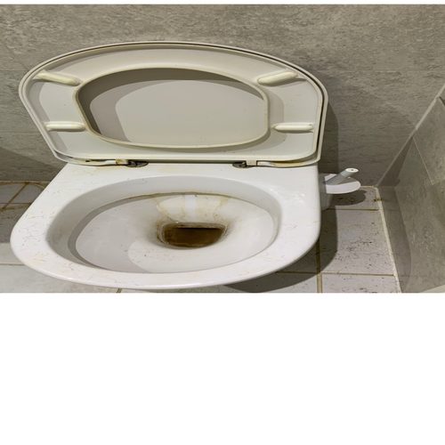 Stained toilet before deep clean